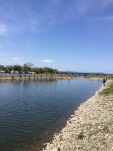 【2020年4月】愛知県の管理釣り場、北方マス釣り場にニジマス釣りに行ってきました