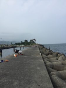 【2020年8月】淡路島にタチウオと青物釣りに行ってきました