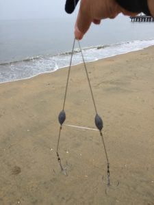 二枚貝や巻貝の釣り方