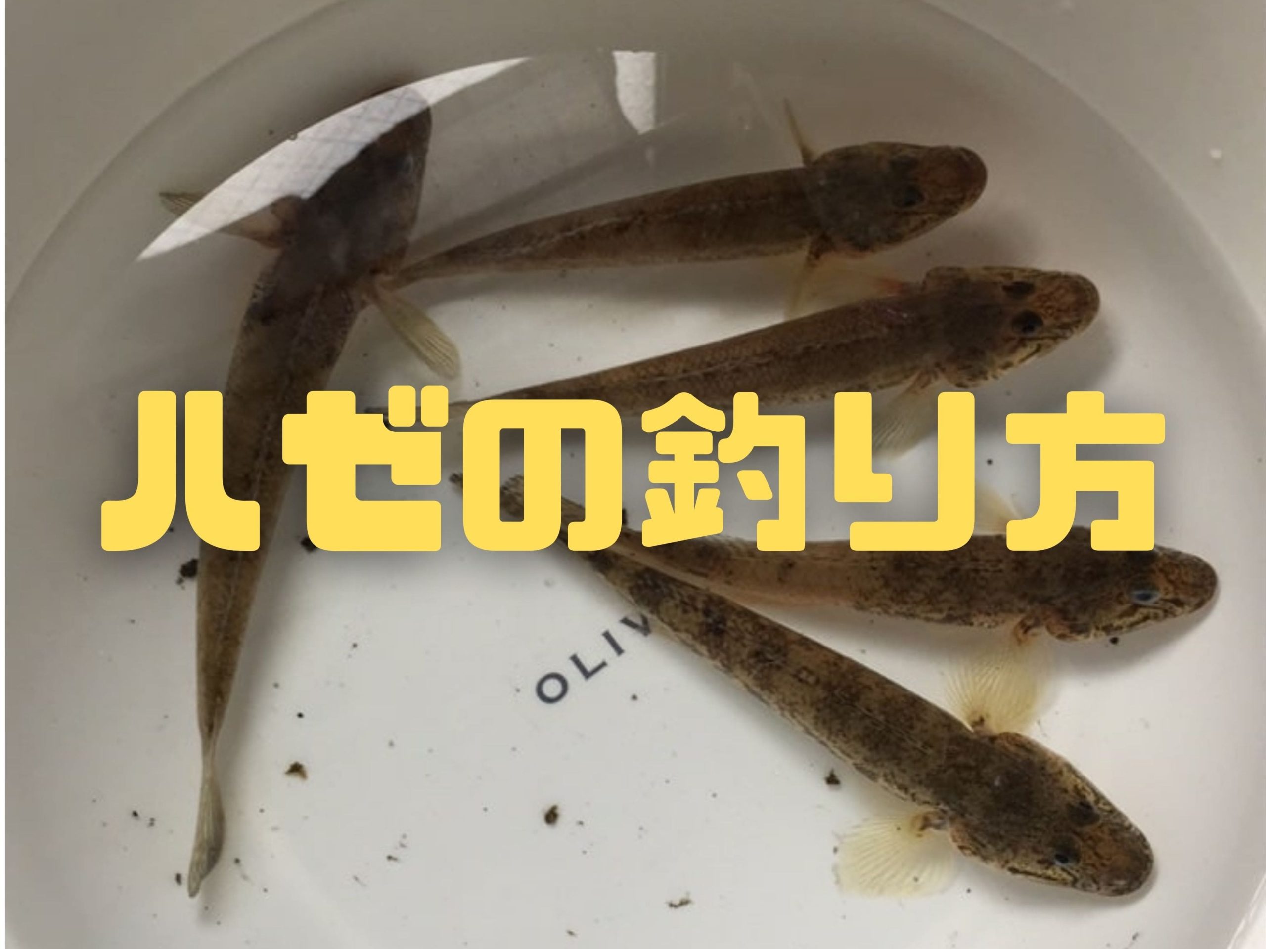 ハゼの釣り方（ウキ釣り・チョイ投げ・ルアー釣り）