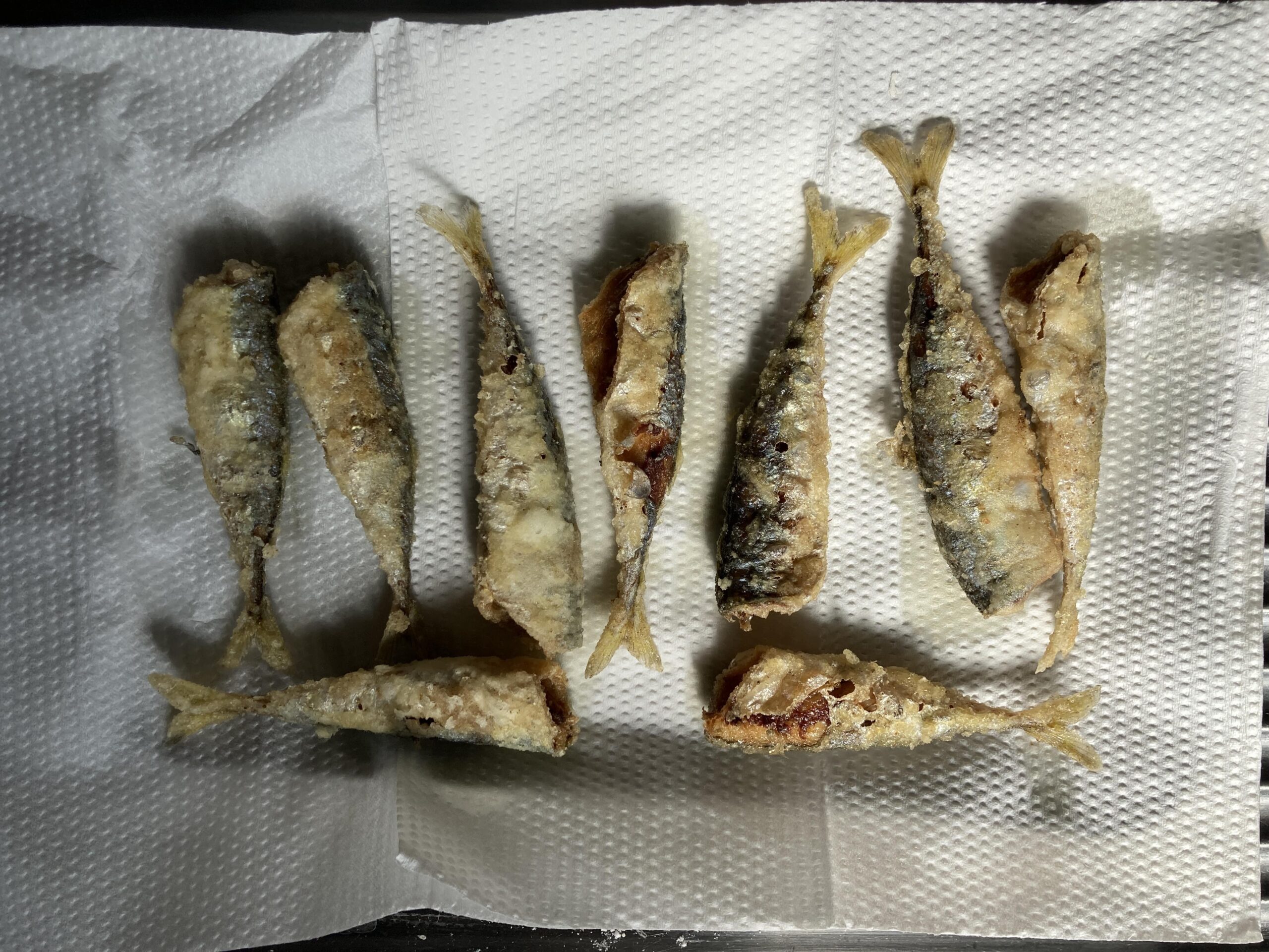 【サバ】釣ったサバを美味しく食べる調理法（レシピ）を紹介します