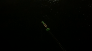 100均（ダイソー）で夜釣りで使えるヒットセンサー（バイトアラーム・ アタリセンサー）を自作する方法を紹介します
